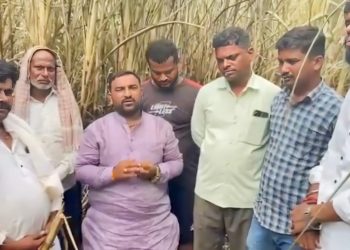 मुस्तीत वीजेच्या ठिणगीने ७ एकर ऊस भस्मसात; शेतकऱ्याचे ८ लाखांचे नुकसान
