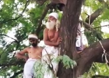 सोलापुरात ऊस बिलासाठी शेतकऱ्याचे झाडावर चढून अर्धनग्न आंदोलन.
