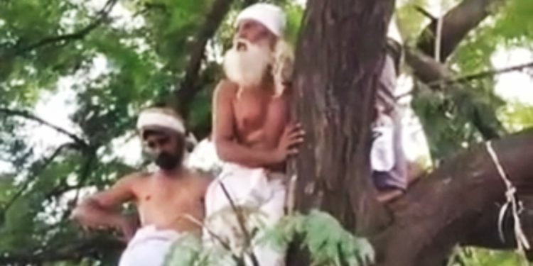 सोलापुरात ऊस बिलासाठी शेतकऱ्याचे झाडावर चढून अर्धनग्न आंदोलन.